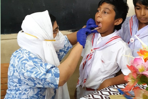 School Dental Camps